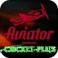 bbl cricket Cash Pro
