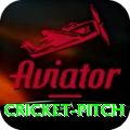 cricket pitch Money Royal v4.8.9