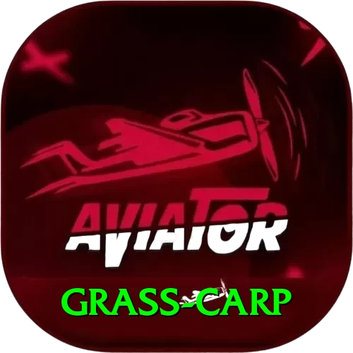 grass carp - VIP King - 2