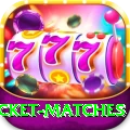 india upcoming cricket matches - Champion Edition v1.4.8
