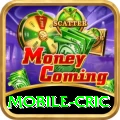 mobile cric Deluxe PK v5.4.6