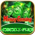most runs in international cricket Casino Pro v1.6.6