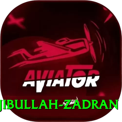 najibullah zadran - Champion Earning App - 2