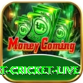 smart cricket live - Casino Super