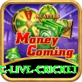 smartcric live cricket Master 2024