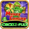 sports cricket - Real Money King