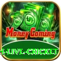 watch live cricket Deluxe PK v3.3.1