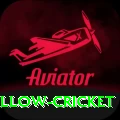 willow cricket Gaming Elite v2.4.6